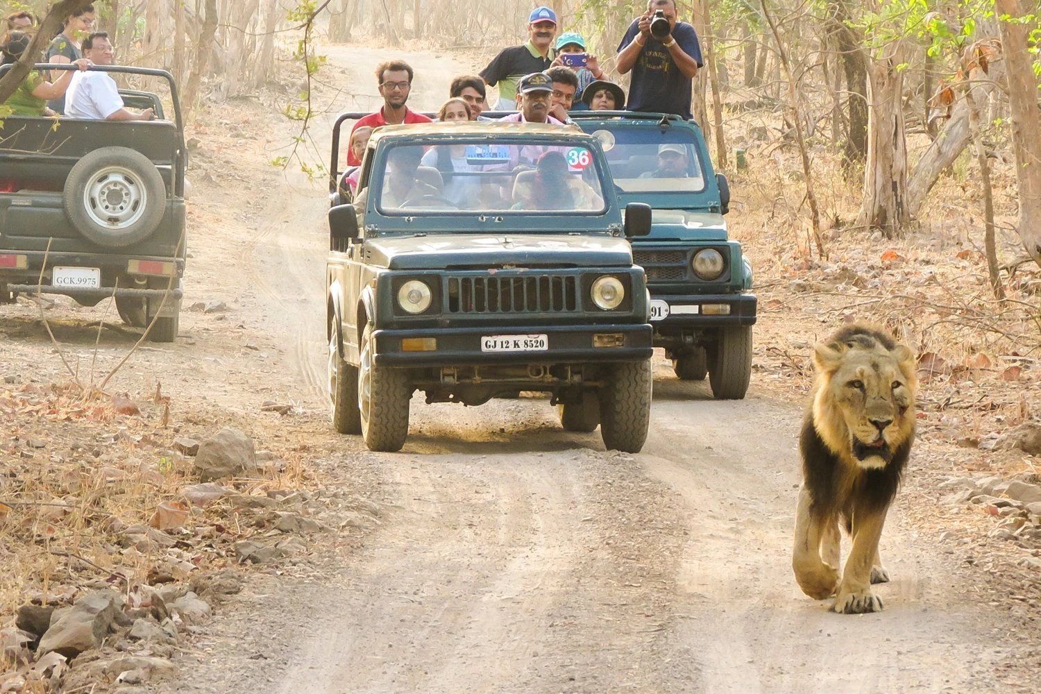 Sasan Gir National Park